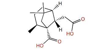 Isishippuric acid B